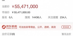流拍！贾跃亭所持”乐视网”股权拍卖无人报名