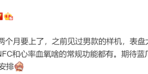 智能生态加速，vivo Watch 将于近两个月发布