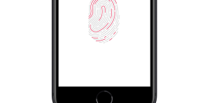 苹果增加Touch ID机型，iPhone 12s或许能用上