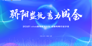 vivo营销第四场沙龙落地，聚焦金融电商行业营销讨论