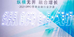 纵横计划第一站 | OPPO营销金融行业沙龙成功开启，聚焦增长新机遇